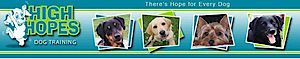 High Hopes Dog Training's logo High Hopes Dog Training's Company logo