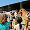 National Center For Equine Facilitated Therapy's Competitor - High Hurdles Horsemanship Program logo
