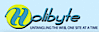 Holibyte Online Solutions