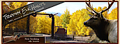 Homesteadranch