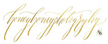 Honeyhoneyphotography