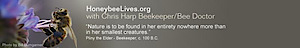 Honeybeelives - Beekeeping Classes - Apiary Services's logo Honeybeelives - Beekeeping Classes - Apiary Services's Company logo