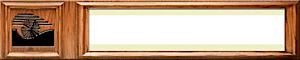 Hopkins, Hopkins And Ackerman Optometrists's logo Hopkins, Hopkins And Ackerman Optometrists's Company logo