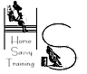 Horse Savvy Training