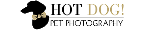 Hot Dog Pet Photography