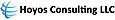 Hoyos Consulting
