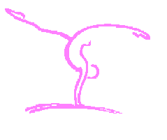 Hw Regionettes Gymnastics