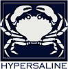 Hypersaline's logo Hypersaline's Company logo