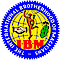 Ibmring252