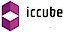 icCube