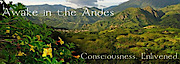 Idiomart's logo Idiomart's Company logo