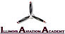IAA's company profile