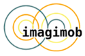 Imagimob's logo Imagimob's Company logo