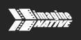 Imaginenative Film + Media Arts Festival's logo Imaginenative Film + Media Arts Festival's Company logo