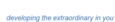 Impact Ventures Llc