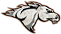 Independence Mustang Wrestling