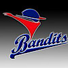 Indiana Bandits Baseball Club's logo Indiana Bandits Baseball Club's Company logo