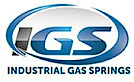 Industrial Gas Springs