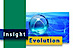 Insight Evolution