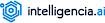 intelligencia's company profile