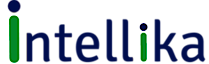Intellika's logo Intellika's Company logo