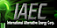 International Alternative Energy Corp's company profile