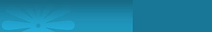 Internet Bypass's logo Internet Bypass's Company logo