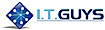 I.T. Guys's company profile