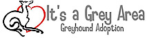 It's A Grey Area Greyhound Adoption Group