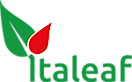 Italeaf S's logo Italeaf S's Company logo