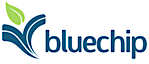 Blue Chip