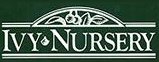Ivy Nursery