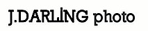 J. Darling Photographics's logo J. Darling Photographics's Company logo