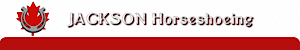Jackson Horseshoeing's logo Jackson Horseshoeing's Company logo