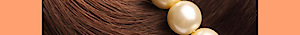 Jakab's International's logo Jakab's International's Company logo