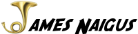 James Naigus's logo James Naigus's Company logo