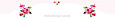 Jdesire's Competitor - Onlinebridalboutique logo