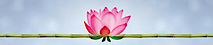 Jennifer Kupiec's logo Jennifer Kupiec's Company logo