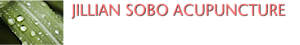 Jillian Sobo Acupuncture's logo Jillian Sobo Acupuncture's Company logo