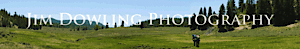 Jim Dowling Photography's logo Jim Dowling Photography's Company logo