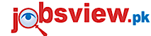 JobsView's logo JobsView's Company logo
