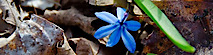 John Jacob Ancheta's logo John Jacob Ancheta's Company logo