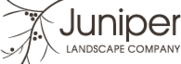 Juniper Landscape