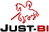 iXperts's Competitor - Just-BI logo