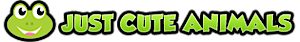 Just Cute Animals's logo Just Cute Animals's Company logo