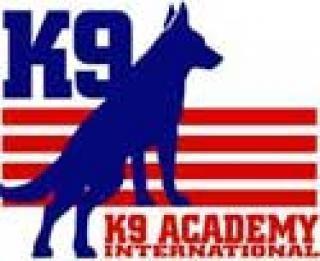 small trained dogs for sale