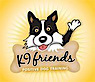K9 Friends Positive Dog Training