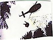 K9 Search And Rescue's logo K9 Search And Rescue's Company logo