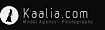 Myglamfolio's Competitor - Kaalia.com International Modeling & Casting Agency logo