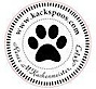 Kack's Saints Affordable Dog Grooming & Breeder Services's logo Kack's Saints Affordable Dog Grooming & Breeder Services's Company logo